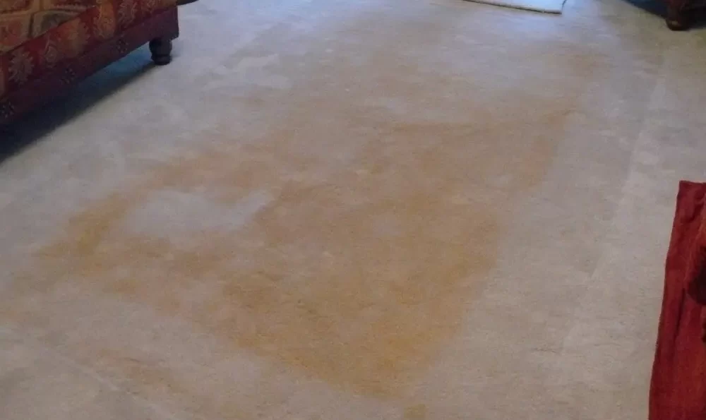 زردی ریشه فرش