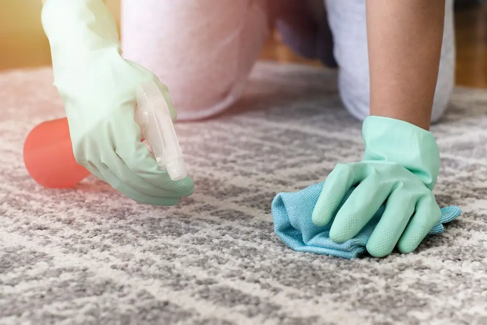 شستشوی فرش با شامپو فرش