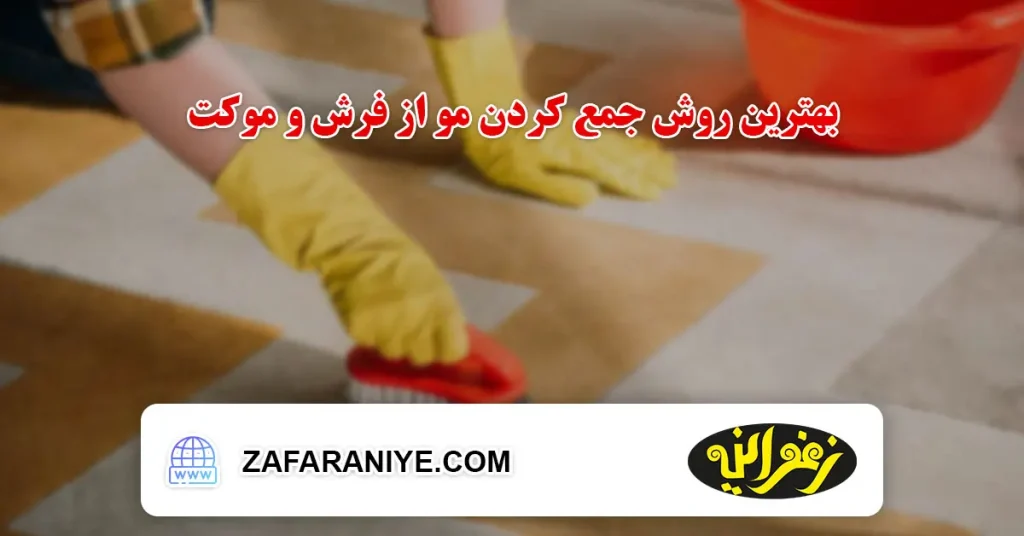 بهترین روش جمع کردن مو از فرش و موکت